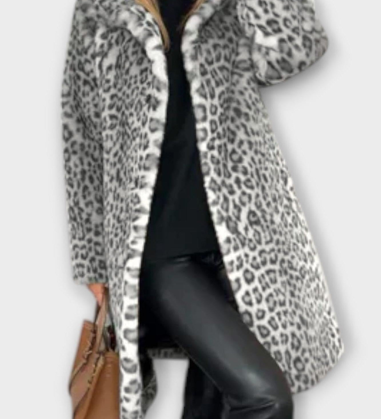 Leo | Palton leopard