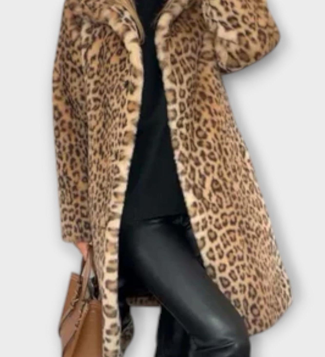 Leo | Palton leopard
